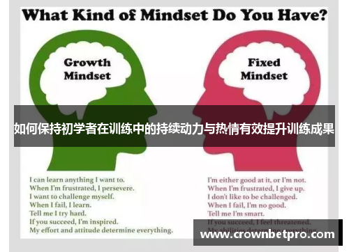如何保持初学者在训练中的持续动力与热情有效提升训练成果