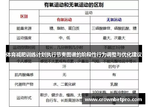 体育减肥训练计划执行节奏图谱的阶段性行为调整与优化建议